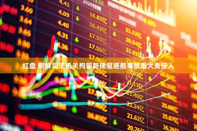 红盘 朝鲜司法机关拘留新建驱逐舰事故重大责任人