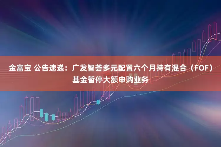 金富宝 公告速递：广发智荟多元配置六个月持有混合（FOF）基金暂停大额申购业务
