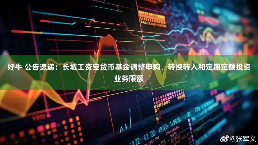 好牛 公告速递：长城工资宝货币基金调整申购、转换转入和定期定额投资业务限额