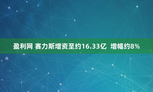 盈利网 赛力斯增资至约16.33亿  增幅约8%