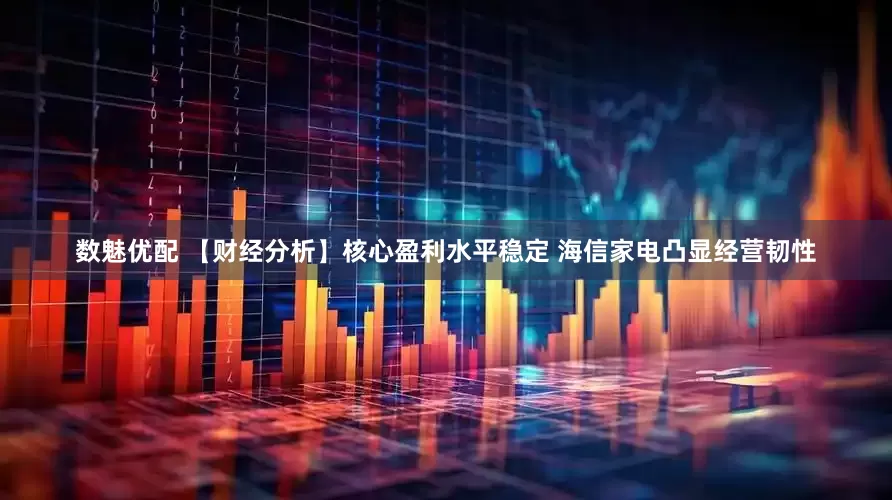 数魅优配 【财经分析】核心盈利水平稳定 海信家电凸显经营韧性